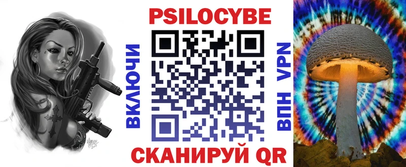 Псилоцибиновые грибы Psilocybine cubensis  Обоянь 